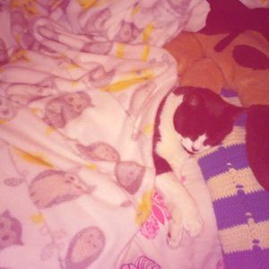 Meet your Posher, Lisa